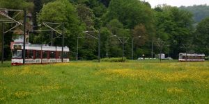 Foto Richtung Freiburg Günsterstal - Buttercup landscape III (the duel)